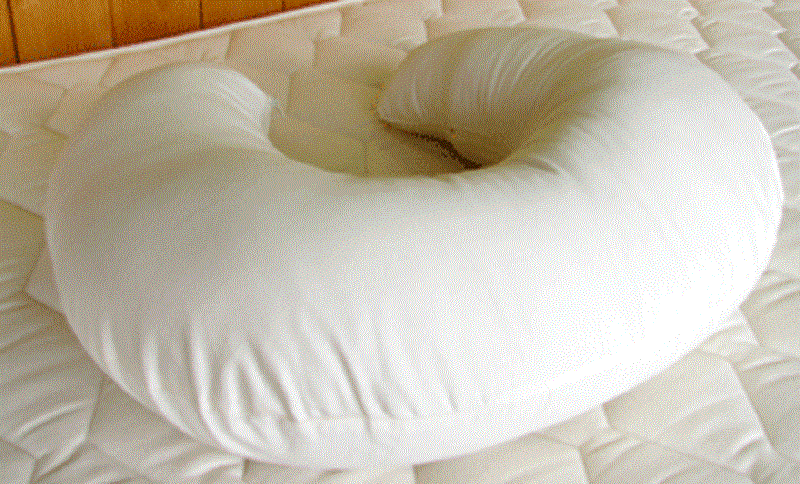 holy lamb organics pillow