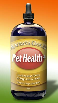 Ambaya Gold Pet Health+