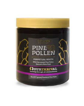 Perpetual Youth Pine Pollen 8 oz • Gone Green Store